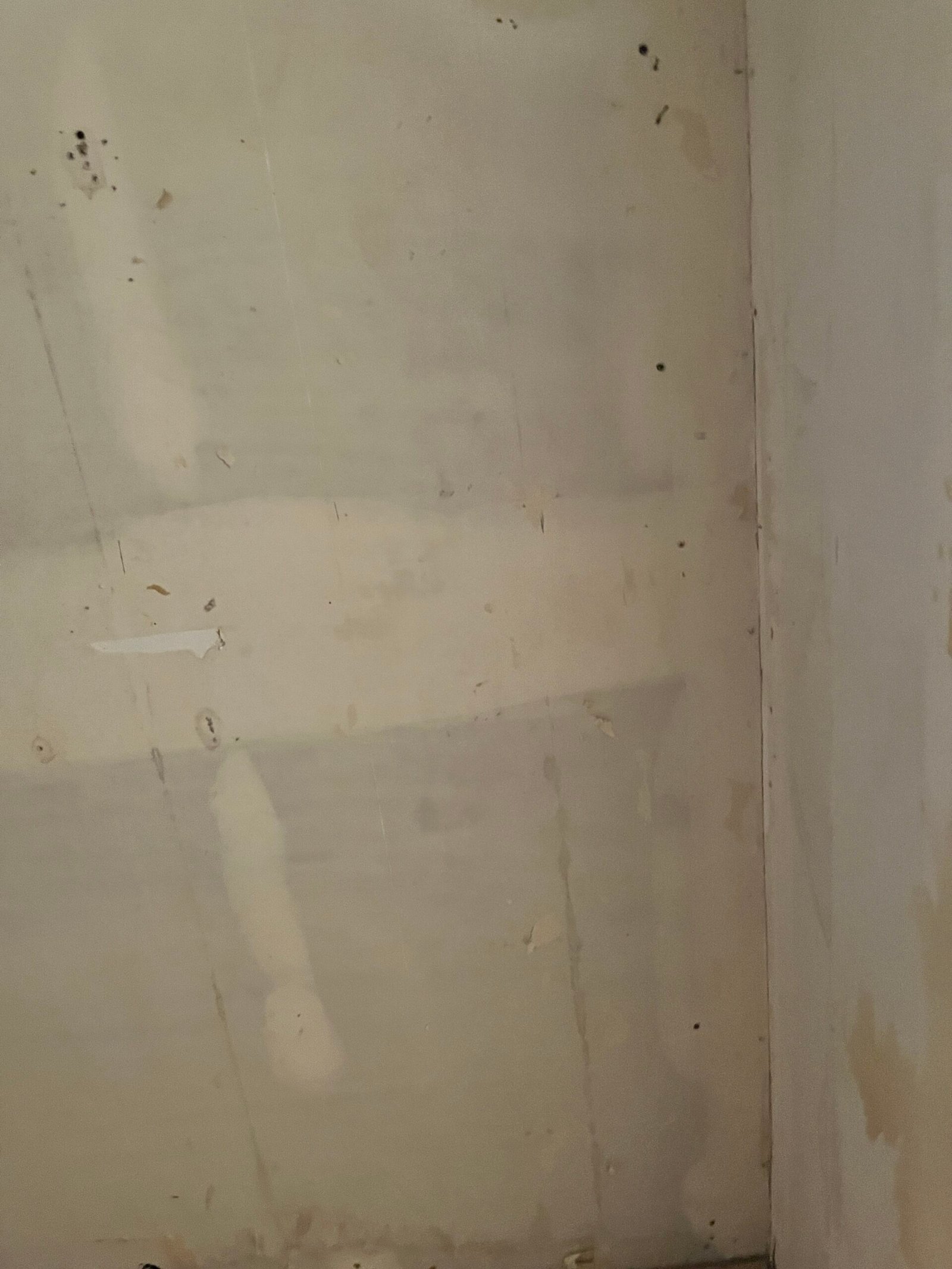 Exterior Painting and Siding Repair in Holly Hill - Florida's Handyman and Renovation Services