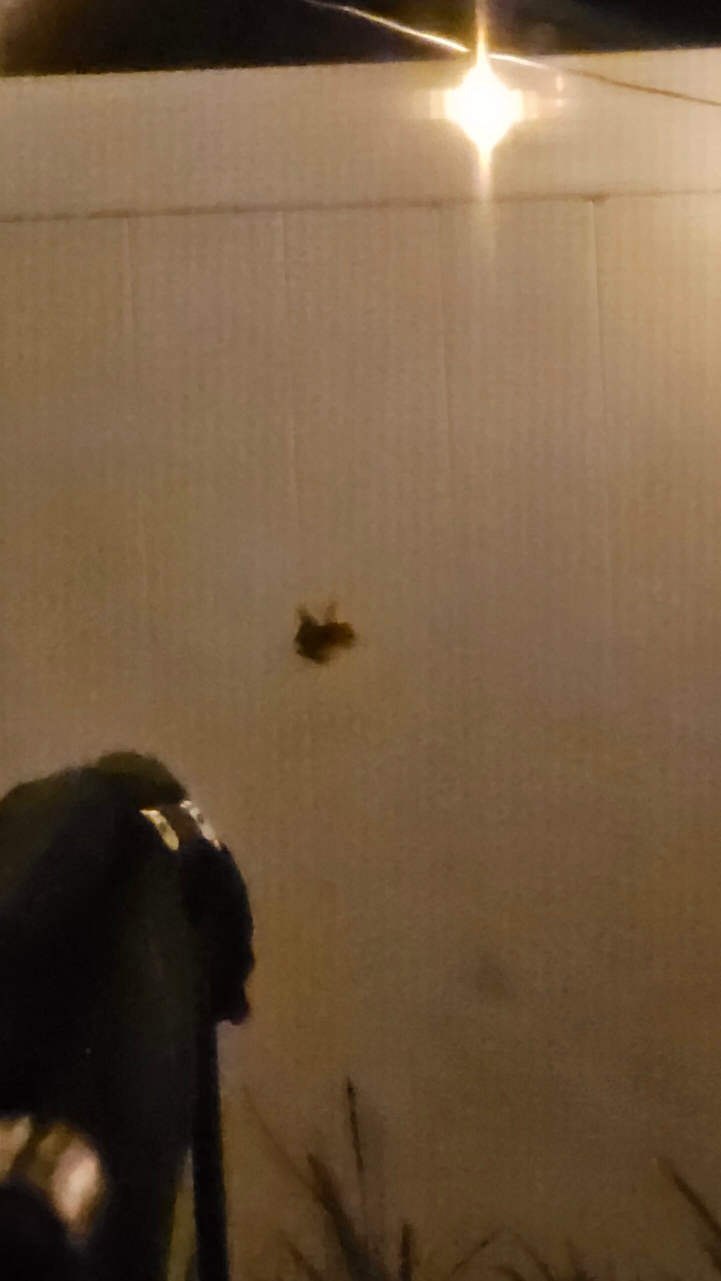 Professional home maintenance and repair service in Volusia County