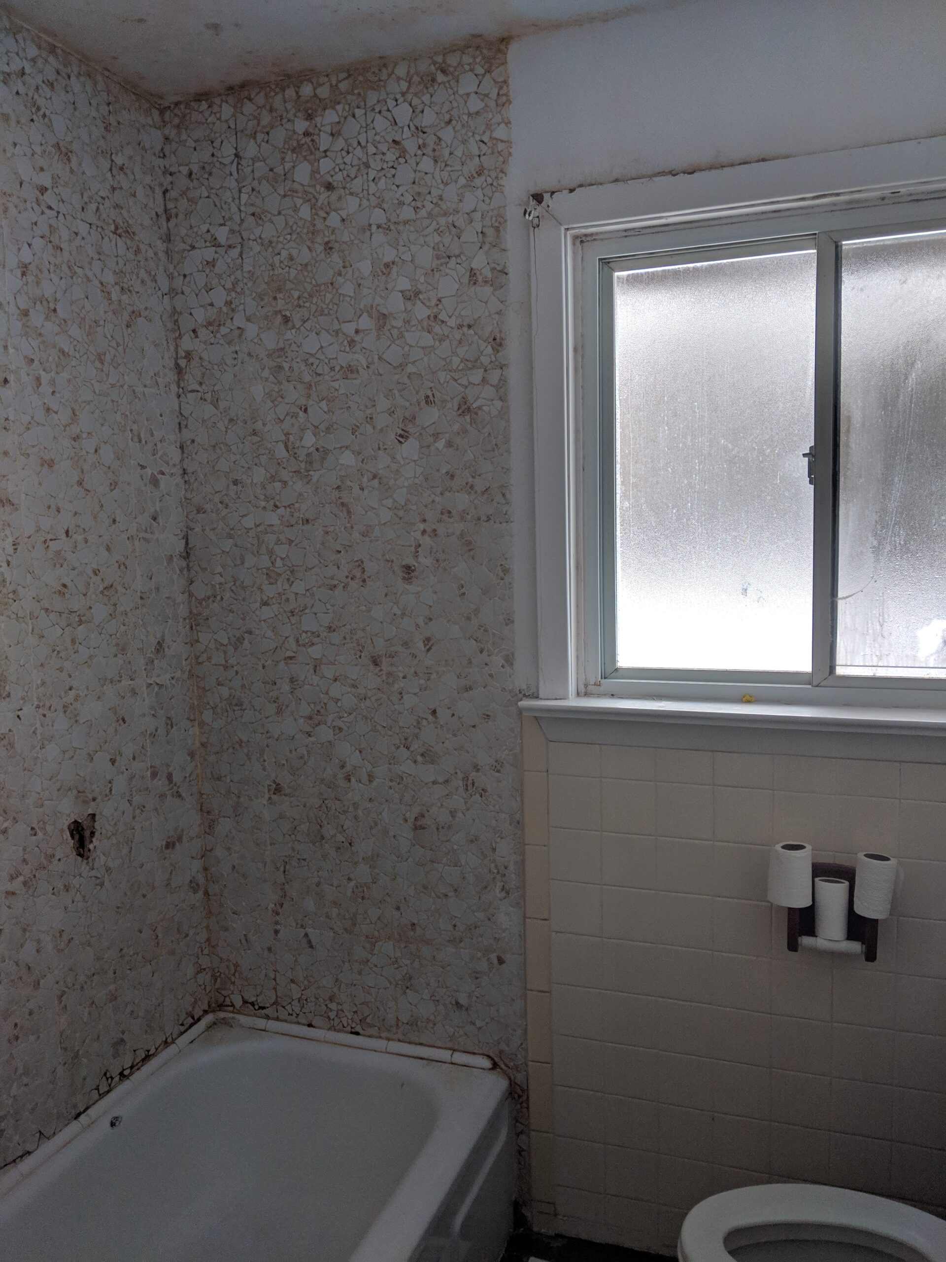 Professional bathroom tile repair and painting in Ponce Inlet Florida