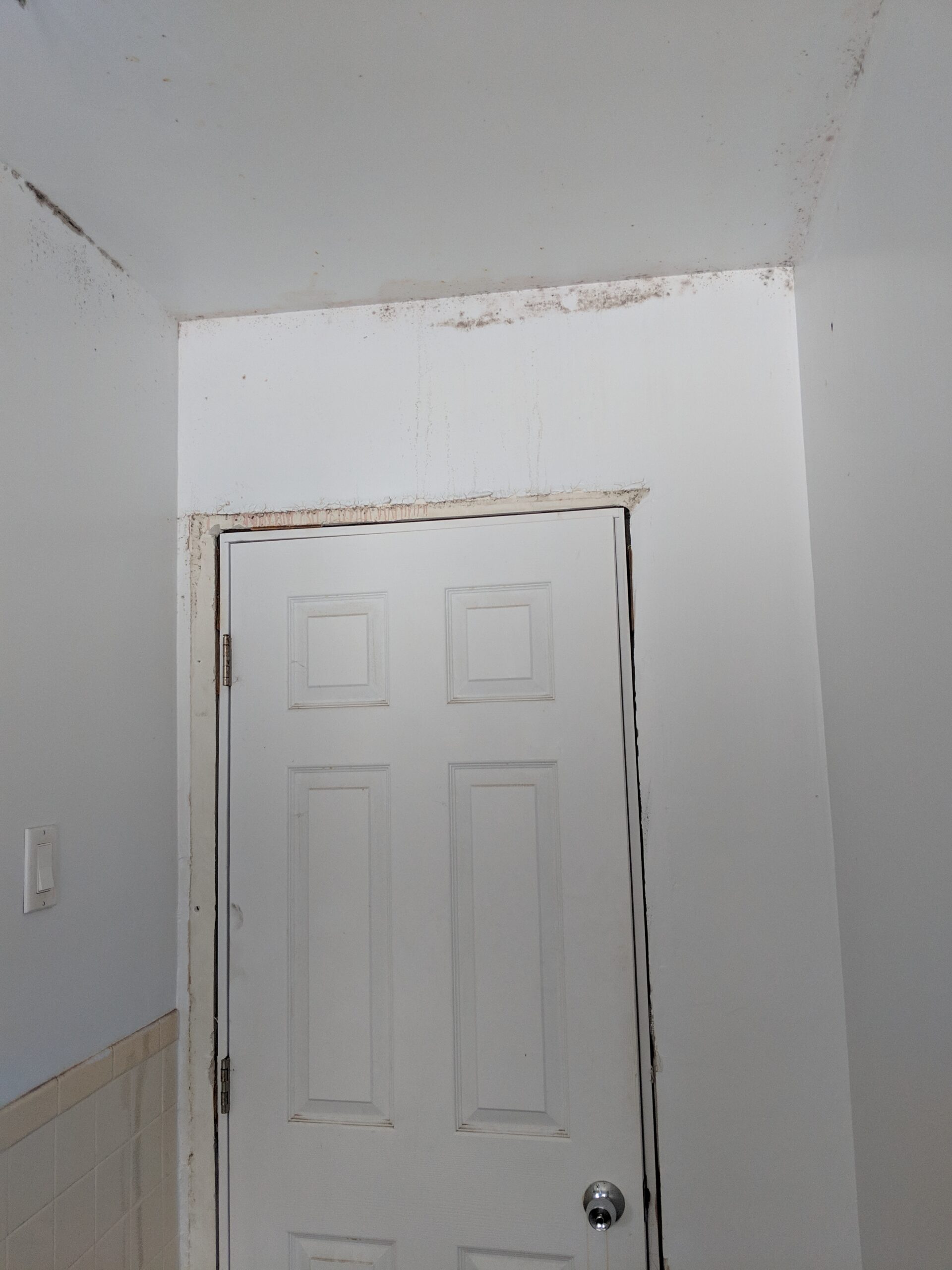 Expert bathroom tile installation and painting in Ormond Beach Florida