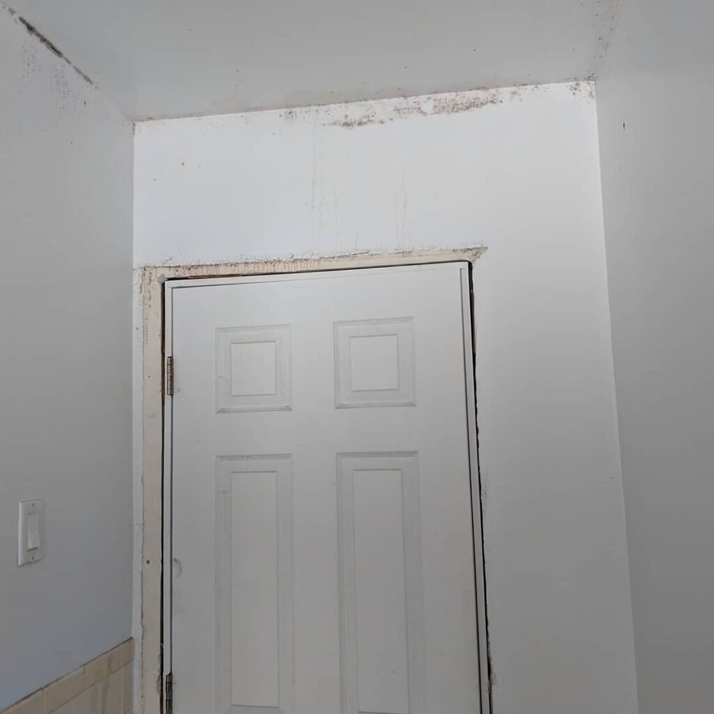 Expert bathroom tile installation and painting in Ormond Beach Florida