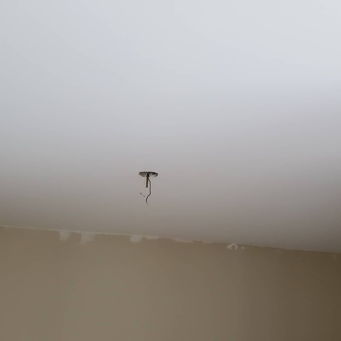 Professional handyman and renovation services in Port Orange, FL - Florida's Handyman.