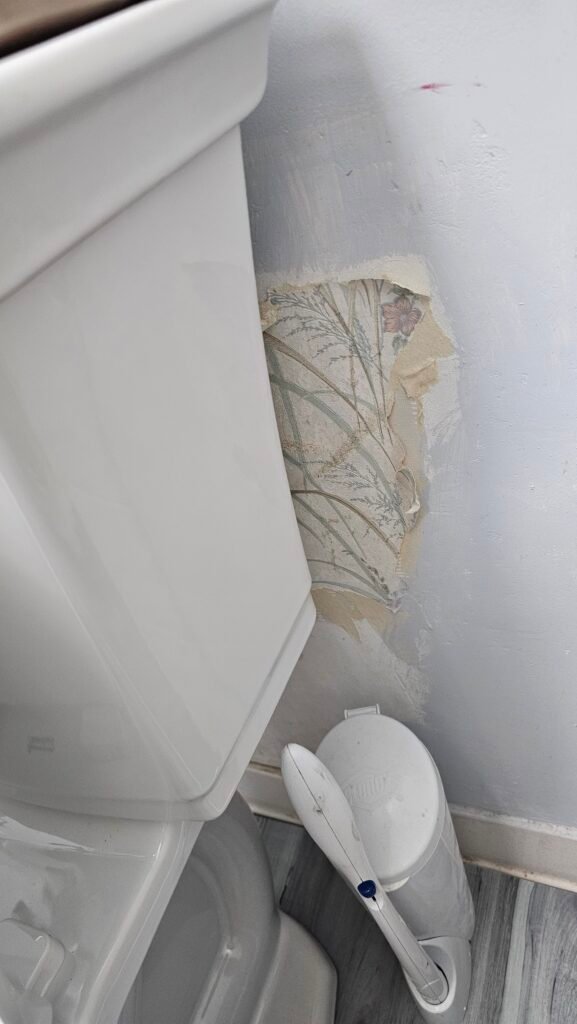 Peeling paint on a bathroom wall behind a toilet tank revealing old floral wallpaper underneath